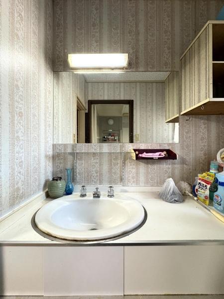 山武郡芝山町新井田(さんぶぐん しばやままち にいだ)の洗面台・洗面所画像