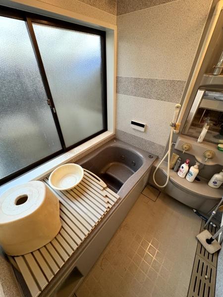 山武郡芝山町新井田(さんぶぐん しばやままち にいだ)のバス画像