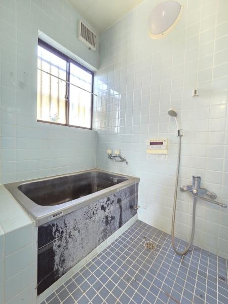 山武市 松ケ谷ロ(さんむし まつがや ろ)のバス画像