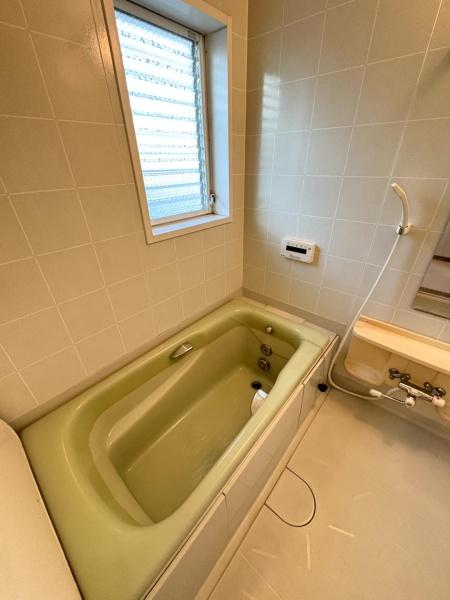 山武市 姫島(さんむし ひめしま)のバス画像