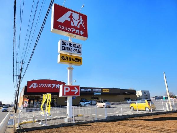 クレイドルガーデン　八街市富山　第１全１棟１号棟のドラッグストア画像