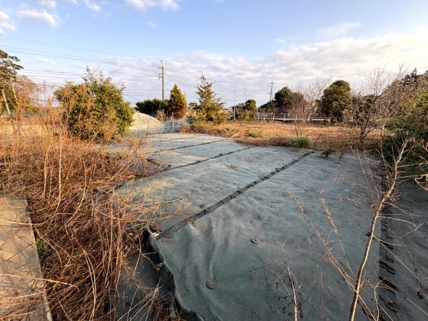山武市　松尾町八田の庭画像