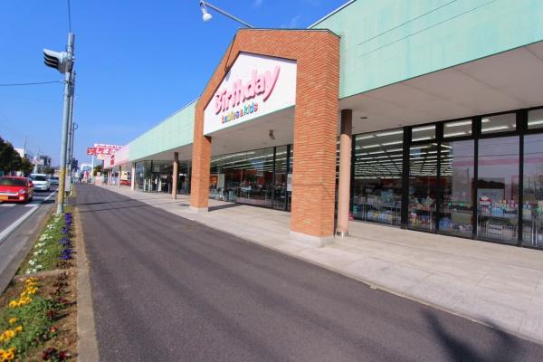 大網白里市 南横川のショッピング施設画像