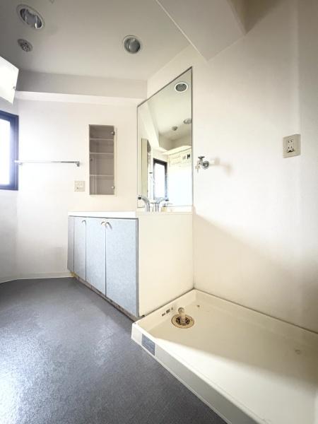 日神パレステージ佐倉の洗面台・洗面所画像