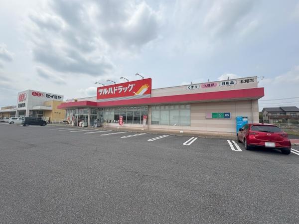 倉庫付　山武市松尾町八田（さんむし　まつおまち　はった）のドラッグストア画像