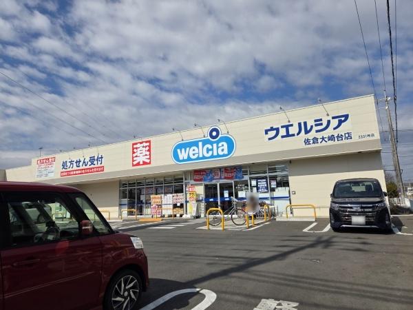 グラファーレ　佐倉市　石川５期　全３棟　３号棟のドラッグストア画像