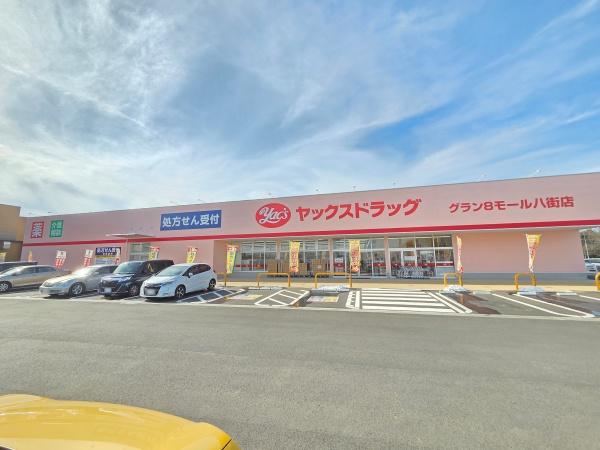 八街市 八街は(やちまたし やちまた は)のドラッグストア画像