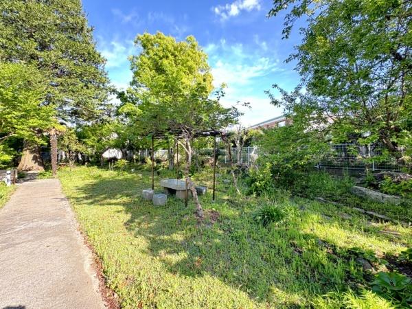 大網白里市　上貝塚（おおあみしらさとし　かみかいづか）の庭画像