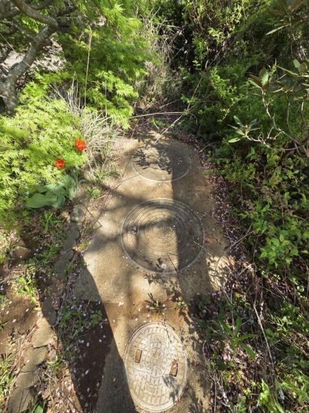 山武市　横田（さんむし　よこた）のその他画像