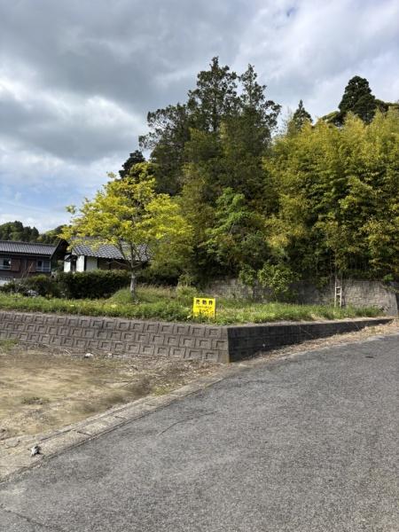 建築条件なし売地　東金市　大豆谷（とうがねし　まめざく）の現地土地写真画像
