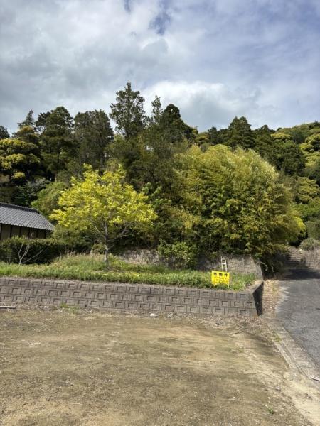 建築条件なし売地　東金市　大豆谷（とうがねし　まめざく）のその他現地画像