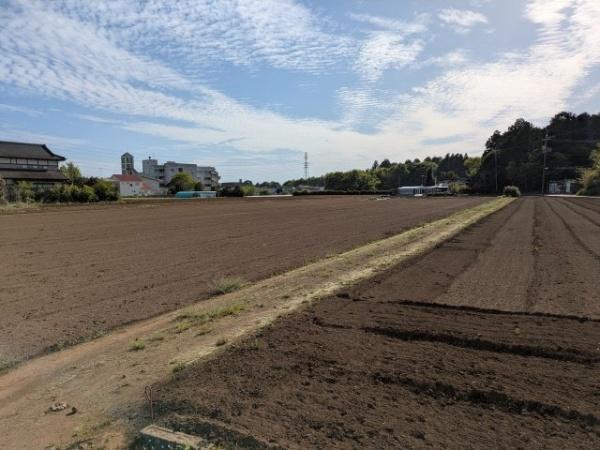 山武市　横田（さんむし　よこた）の現地からの眺望画像