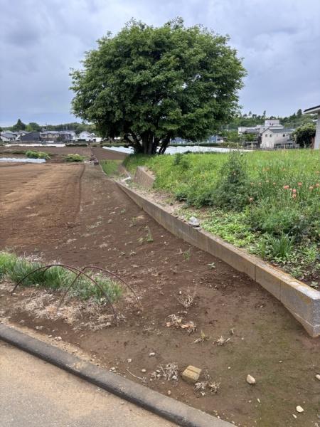 売地　八街市　泉台１丁目のその他画像