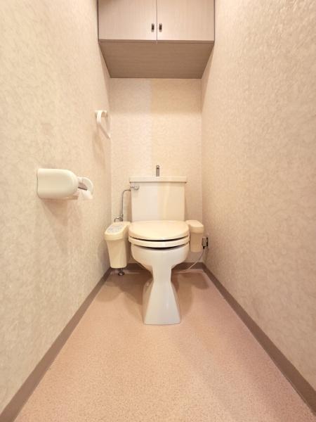 グレージュ和光弐番館のトイレ画像