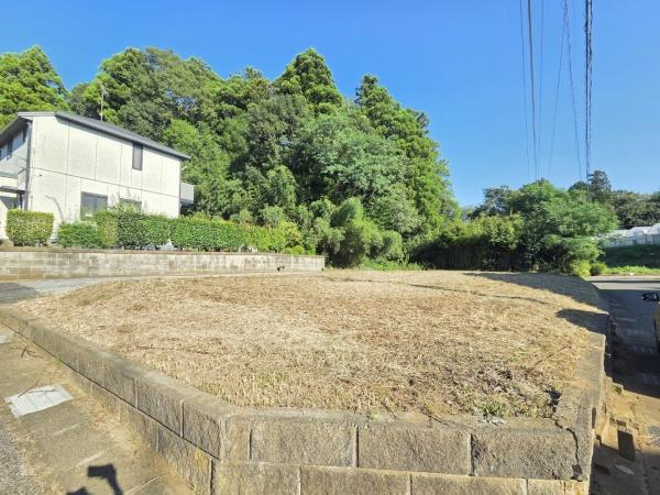 山武市 板中新田 さんむし いたなかしんでんのその他画像