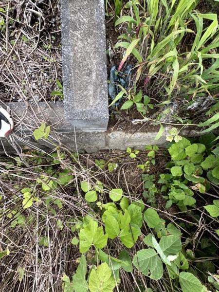 山武市 埴谷 (さんむし はにや)建築条件なし土地のその他画像