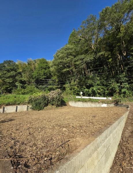 建築条件なし売地　山武市　埴谷（さんむし　はにや）の現地土地写真画像