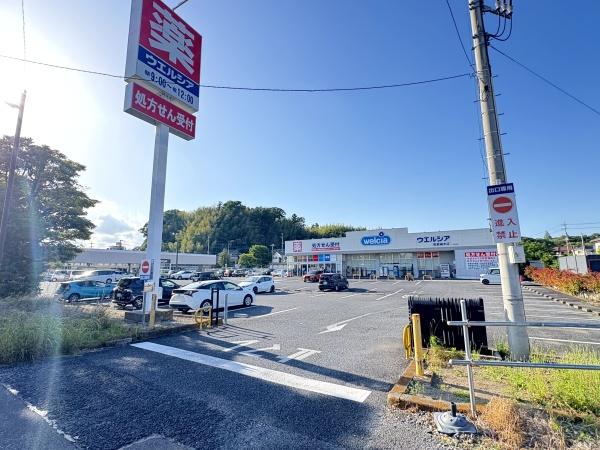 グラファーレ 佐倉市 最上町 全1棟1号棟のドラッグストア画像