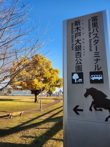 グラファーレ　成田市　並木町　３期　全２棟　２号棟の公園画像