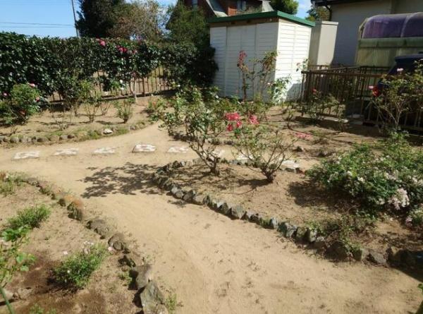 大網白里市 南横川の庭画像