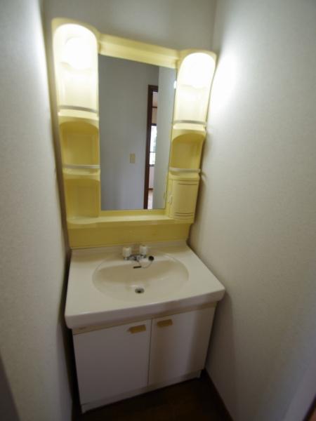 大網白里市木崎の貸家の洗面台・洗面所画像