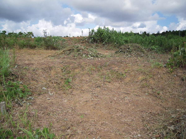 売地・山武市美杉野４丁目の現地土地写真画像