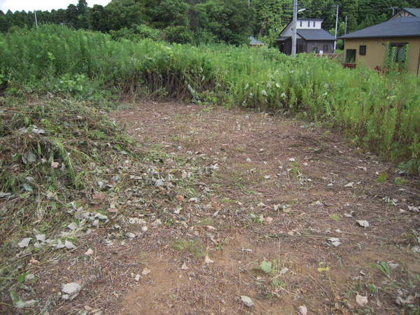 売地・山武市美杉野４丁目の現地土地写真画像