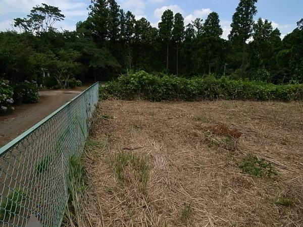 売地・八街市 八街い(やちまたし やちまた い)のその他画像