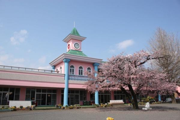 青梅市友田町　中古戸建の幼稚園・保育園画像