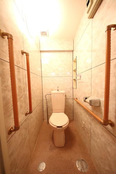 ダイアパレス河辺第ニのトイレ画像