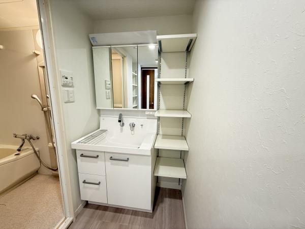 東急ドエルアルス川口並木の洗面台・洗面所画像