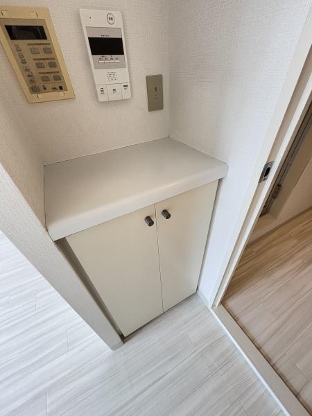 クリオ川崎東壱番館の収納画像