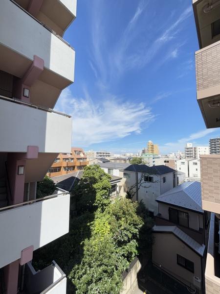 林ビルの現地からの眺望画像