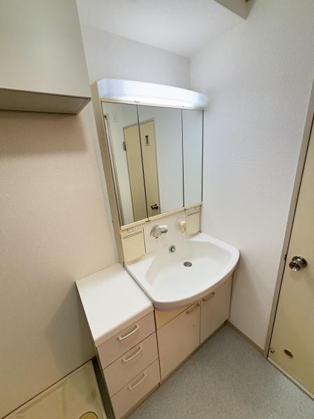 スプリングハイツ川崎の洗面台・洗面所画像
