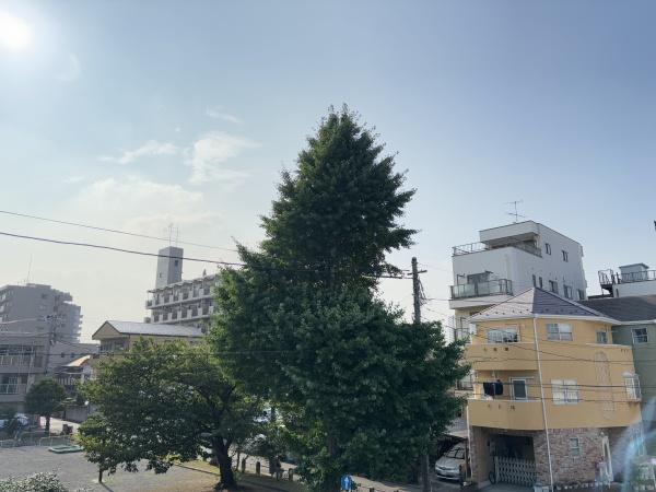 St.Residence（セント・レジデンス）の現地からの眺望画像