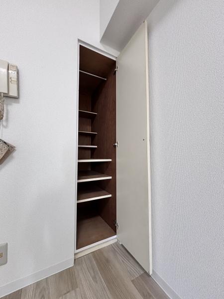 ルネ川崎の収納画像