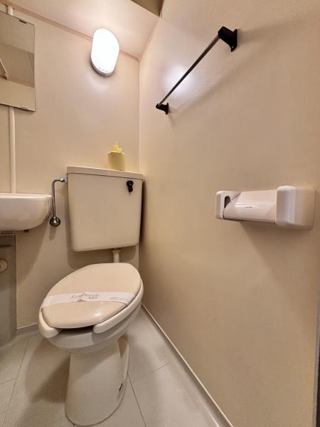 ルネ川崎のトイレ画像