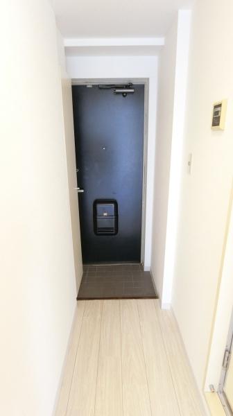 ルネ川崎の玄関画像