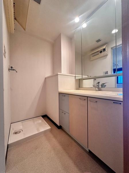 プルミエール多摩川の洗面台・洗面所画像