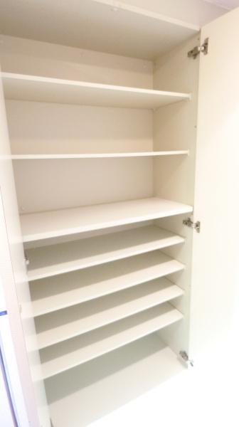 プルミエール多摩川の収納画像