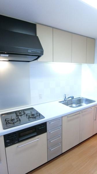 プルミエール多摩川のキッチン画像