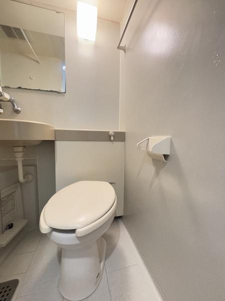 スカイノブレ川崎柳町のトイレ画像