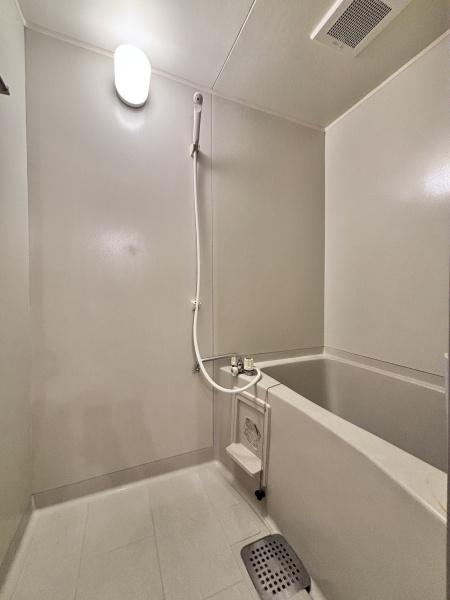 ヴェルドミールのバス画像