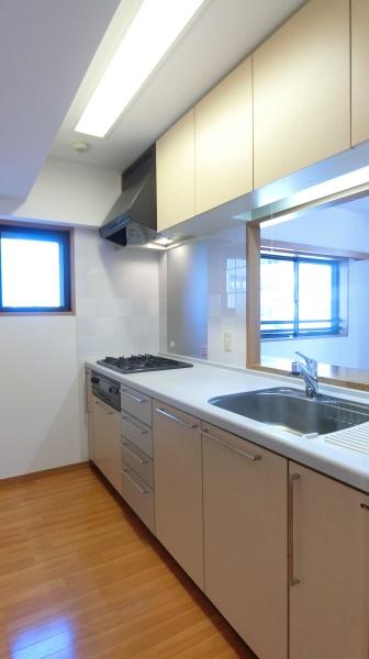 プルミエール多摩川のキッチン画像