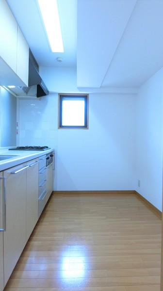 プルミエール多摩川のキッチン画像