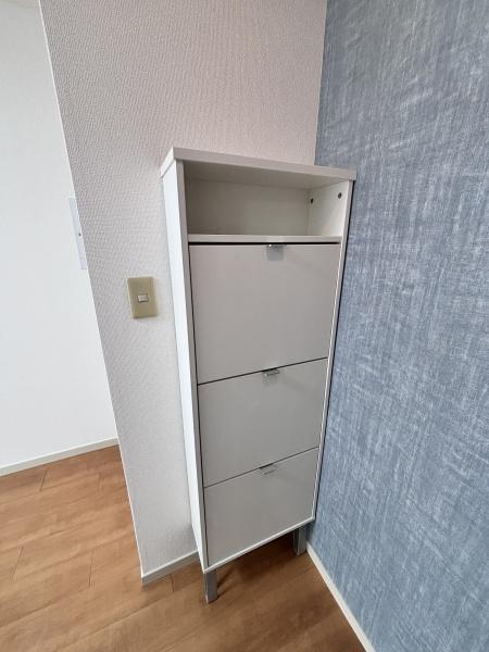 ドエルミヤガワの収納画像