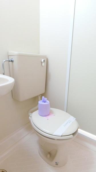 シャンボール互恵ビルのトイレ画像