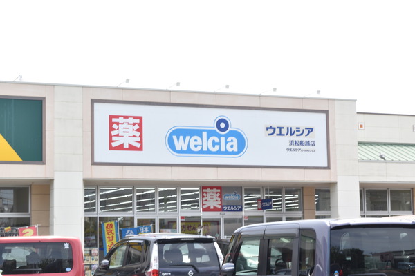 浜松市中央区元浜町　土地のドラッグストア画像