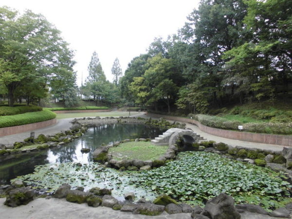 六反町貸家4ＬＤＫの公園画像