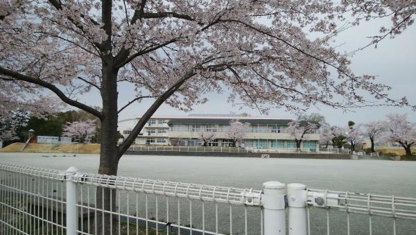 大谷貸家の小学校画像